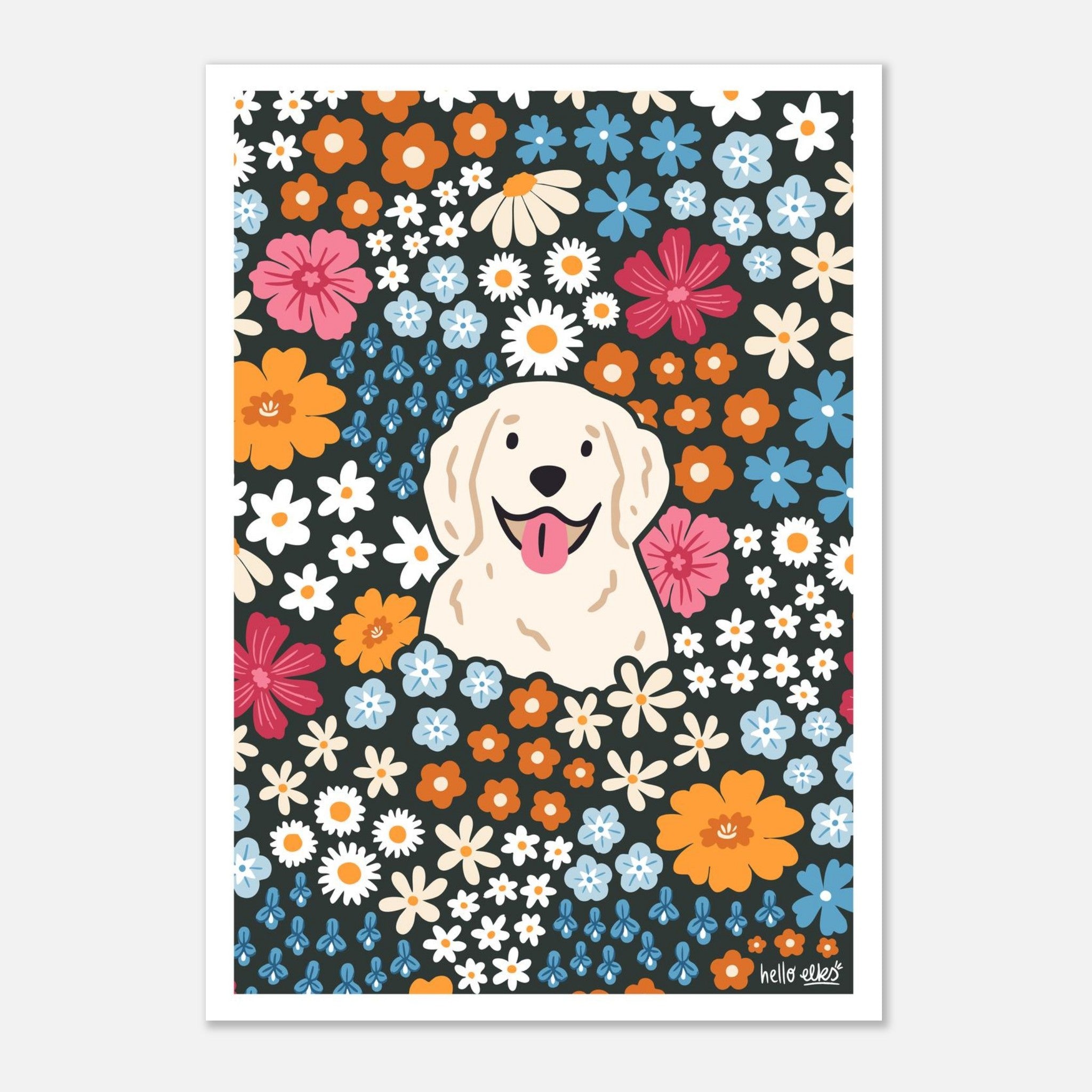 d117944f-46ca-47ba-a645-8ea568124304